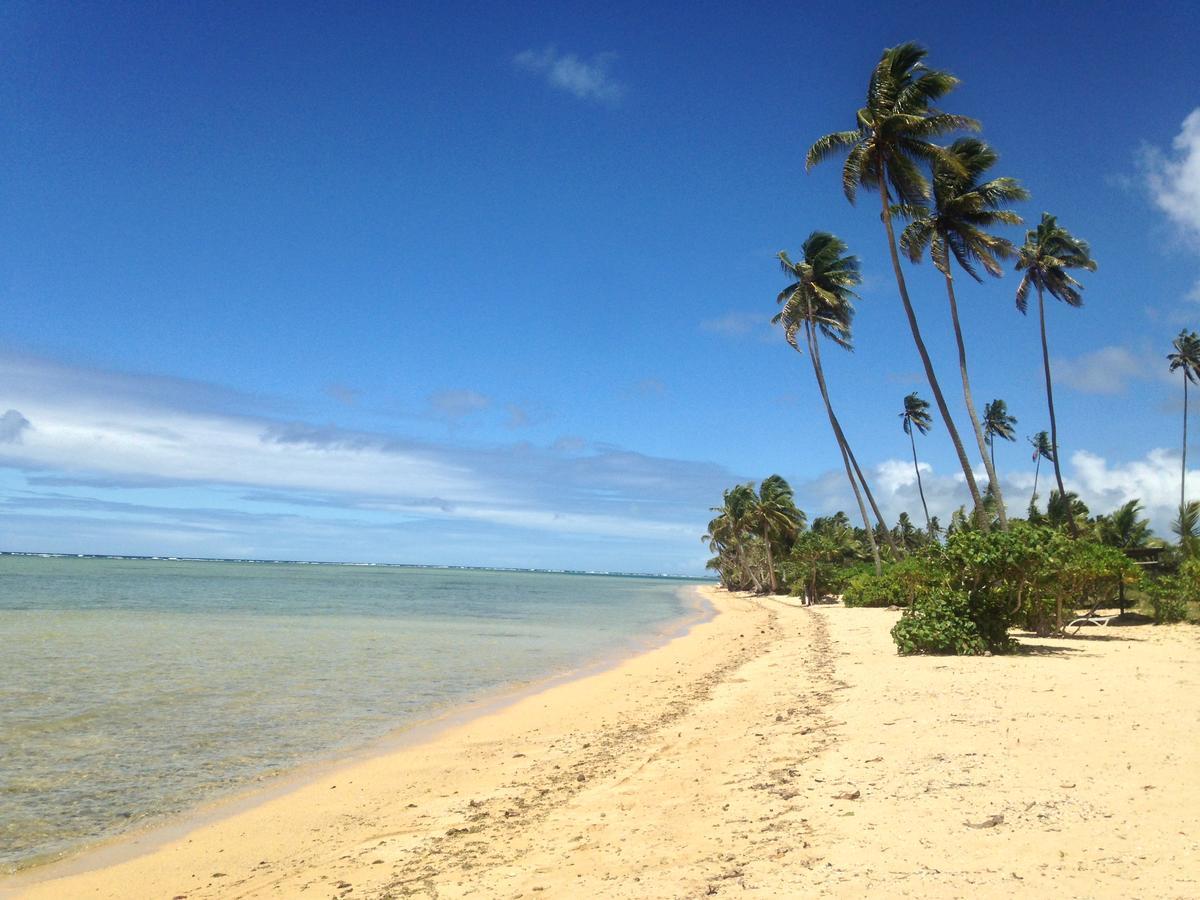 Naveria Heights Lodge Savusavu Eksteriør billede
